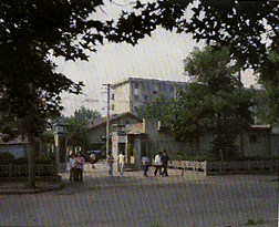 0788.gif (46370 bytes)