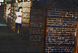 0826.gif (41707 bytes)