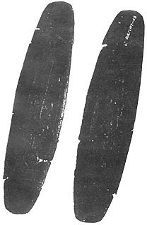0043.jpg (14865 bytes)