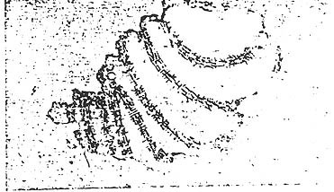 03232.jpg (32611 bytes)