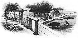 06661.jpg (18196 bytes)